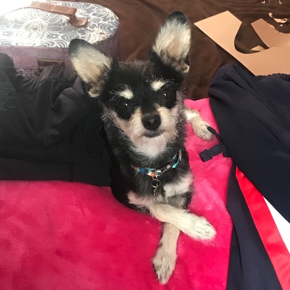 Meet your Posher, Danicipri - Picture 1 of 1